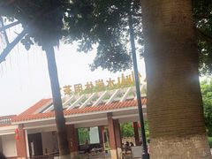 -八仙山公园