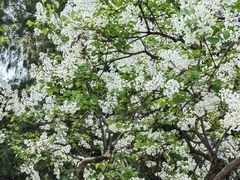 -泰山风景名胜区-普照寺