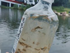 -美兰湖景区