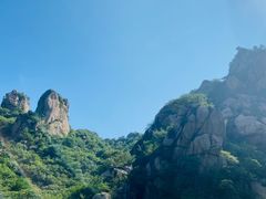 -大岭沟猕猴桃谷风景区