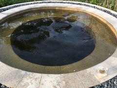 -大连金石滩绿发温泉假日酒店