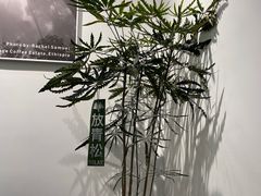 -Gee Coffee Roasters (万象城店)