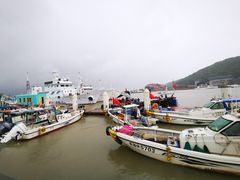 -沈家门渔港