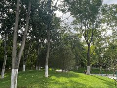 -西海子公园