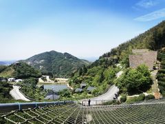 -长沙黑麋峰国家森林公园