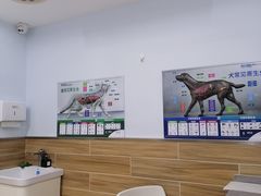 -爱侣宠医·鹦鹉专科·小型哺乳类·异宠专科(灵石路店)