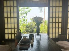 -南山植物园