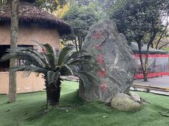 -土灶人家柴火鸡(都江堰店)