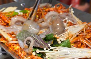 Hot Plate Live Octopus