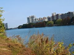 -大笑饭堂(甲子桥店)