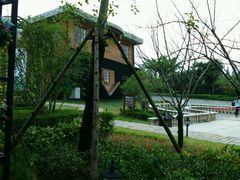 -金山农民画村-枫泾波兰倒置屋