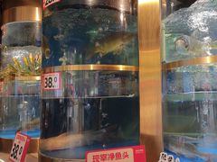 -蜀滋香鲜鱼美蛙火锅(339店)