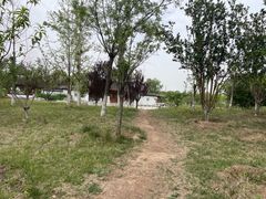 -水西公园