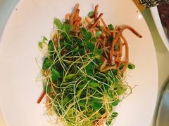 -渝半城经典川粤菜(重庆天地店)