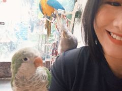 -吉丁鸟咖·异宠·寄养