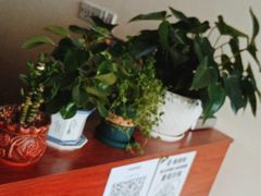 -张钰强中医正骨推拿连锁(唐家人才公寓店)