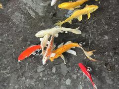 -天津海河悦榕庄·Lobby Lounge大堂吧