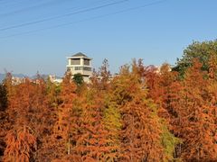 -福道