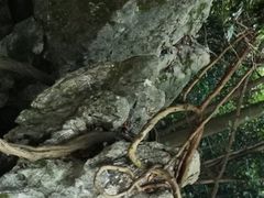 -杭州西湖风景名胜区-三生石