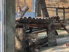 -柳州市动物园