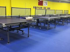 -乐旋乒乓球(郑州一站广场店)