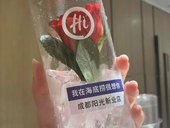 -海底捞火锅(阳光新业店)
