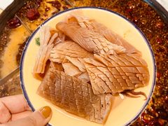 发鱿鱼-石灰市老火锅(北滨路店)