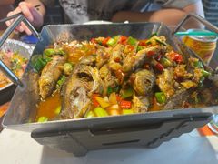 -千岛湖小鱼儿·淳安匠心农家菜