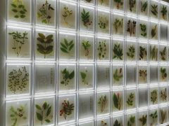 -广东中医药博物馆