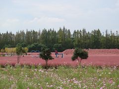 -嘉北郊野公园