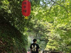 -石台牯牛降景区
