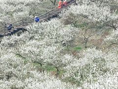 -原乡小镇度假乐园