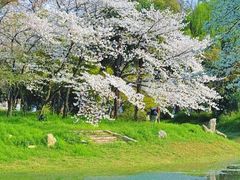 -堤角公园