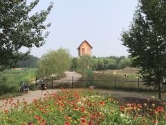 -东郊湿地公园