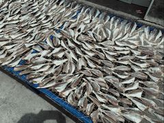 -文昌铺前老街
