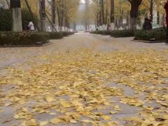 -百林公园-两江幸福广场