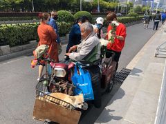 -侵华日军南京大屠杀遇难同胞纪念馆