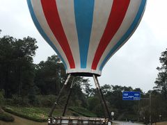 -铁山坪森林公园