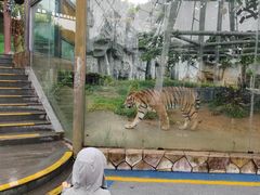 -常州淹城野生动物世界