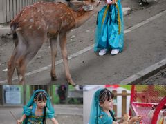 -成都欢乐谷