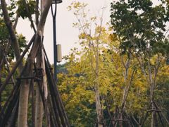 -牛岗山公园