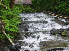 -峡谷浮石林景区