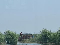 -白洋淀风景区