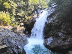 -九龙江国家森林公园