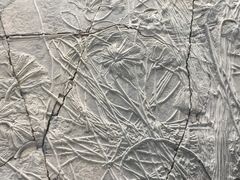 -中国地质大学逸夫博物馆