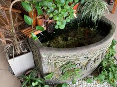 -土桥老街黄鸭子(清淳家园店)