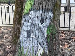 -上海共青森林公园