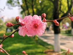 -堤角公园