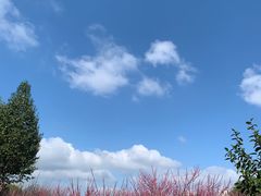 -东山公园