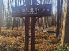-上海怡沁园度假酒店